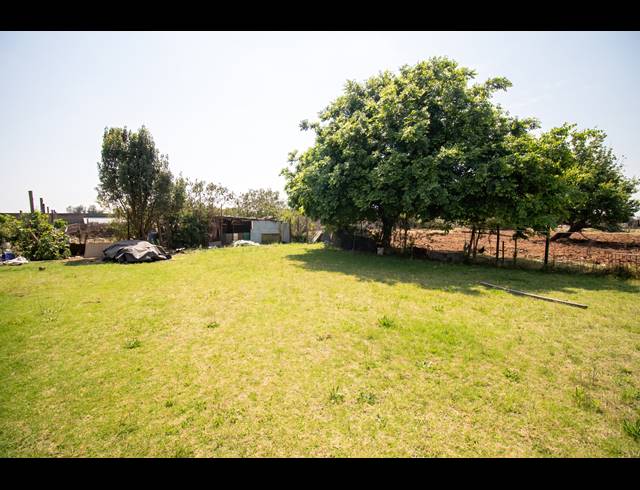 25,000M² SMALLHOLDING FOR SALE IN GLEN AUSTIN AH